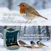 Smart Feeder with Camera Solar Powered, 2K HD Video 24MP Photo Night Vision, Dual Food Troughs for Hummingbirds & Wild Bird