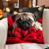 Cute Pug Dog Throw Pillow Cover Cushion Case 45x45cm Decorative Pet Lover Gift Home Decor Puppy Art Plush Cushion Pillowcase