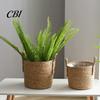 Garden Plant Display Baskets Woven Seagrass Pot with Handle, Built-in Plastic Film Lining Sustainable Straw Planters Storage Basket, Natural