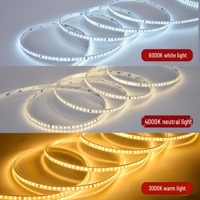 220V IP65 Waterproof Driverless LED Strip Light for Outdoor Building Outline Lighting