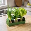 Hydroponic Planter -Free Recirculating Plant Growing Box for Indoor Gardening