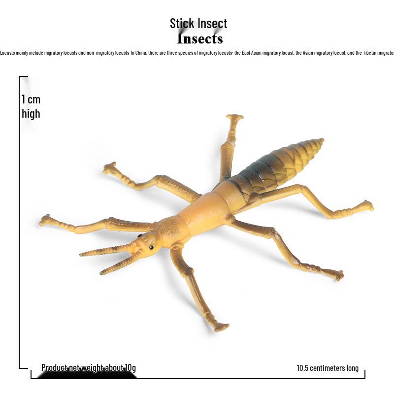 Children s Grasshopper Insect Model Toy - Static Solid Plastic Decoration