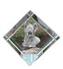 Silky Terrier – Crystal Cube with a Photo, Photo of a Horse In Crystal |