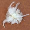3D Organza Flower Appliques Handmade Clothing Flower Patches Sewing On Materials