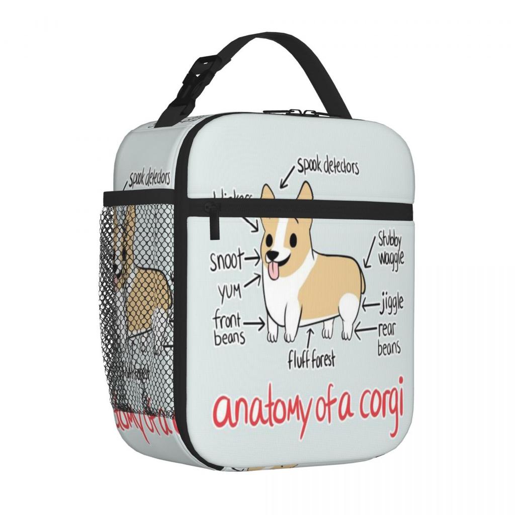 Bestselling Anatomy Of A Corgi Nylon Texture Neoprene Lunch Bag Home To Go School Lunch Bag