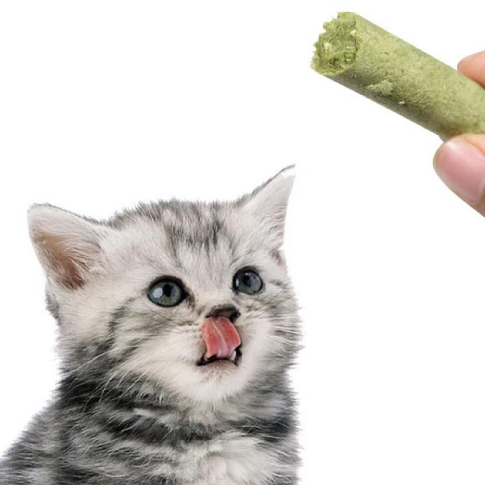 

Палочка из сушеной кошачьей травы , Нежная кошачья трава от комков шерсти , Для стачивания зубов , Кошачьи лакомства One Size