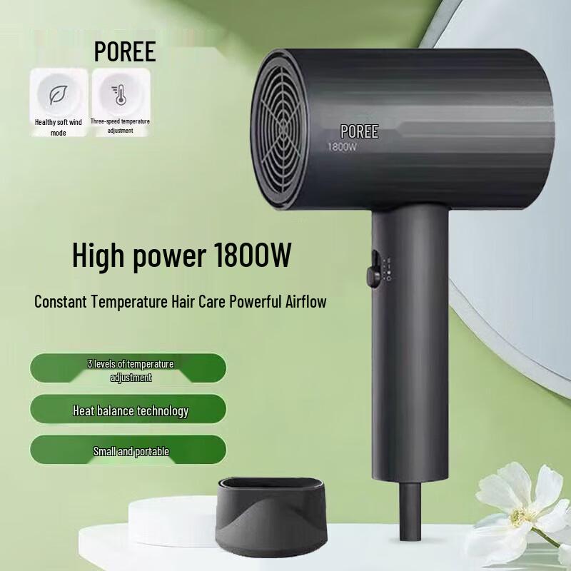 FLYCO BORUI PH1623 High Power Ionic Hair Dryer CN plug (adapter included)