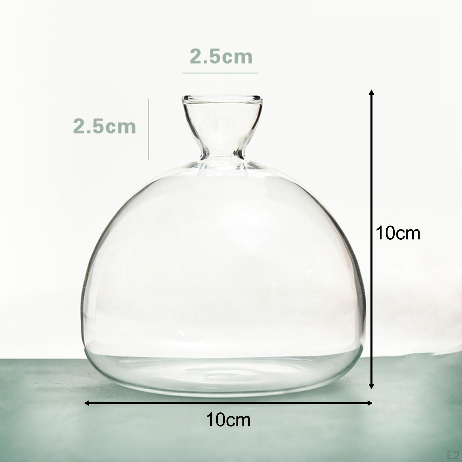 Vase Germination Avocat Whrcy - Pot Verre Transparent Pour Faire Pousser Noyau Avocatier