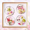 Pressed Flowers Bulk Dried Flowers for Crafts,Real Natural Pressed Flowers Dry Leaves Kit for Crafts Resin Mold Jewelry Candle Soap Making