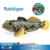 Marine Life Simulation Tank: Pufferfish, Stonefish, Papillose Sculpin Freshwater Fish Model Toy for Kids