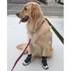 Enjoying Dog Boots for Small Medium Large Dogs, Size 7, Adjustable Dog Boots for Winter Hiking, Anti-Slip Dog Booties for Summer Hot Pavement,