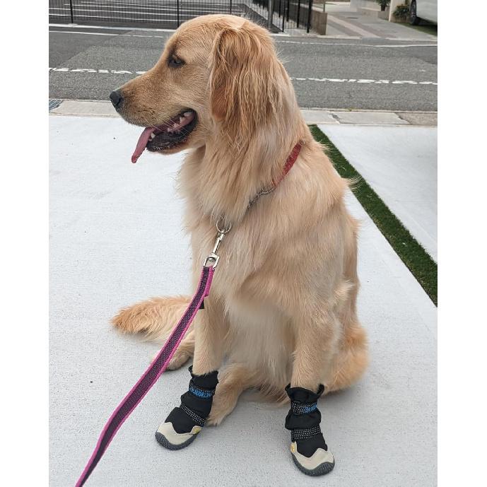 Enjoying Dog Boots for Small Medium Large Dogs, Size 7, Adjustable Dog Boots for Winter Hiking, Anti-Slip Dog Booties for Summer Hot Pavement,