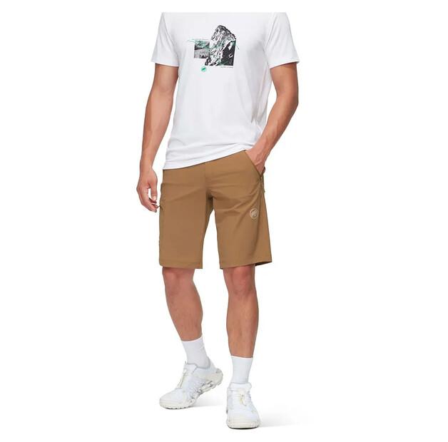Mammut Шорты Runbold IV EU 52/Regular