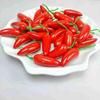 Simulation Foam Mini Fruits & Vegetables Set - 35 pcs for Window Decoration