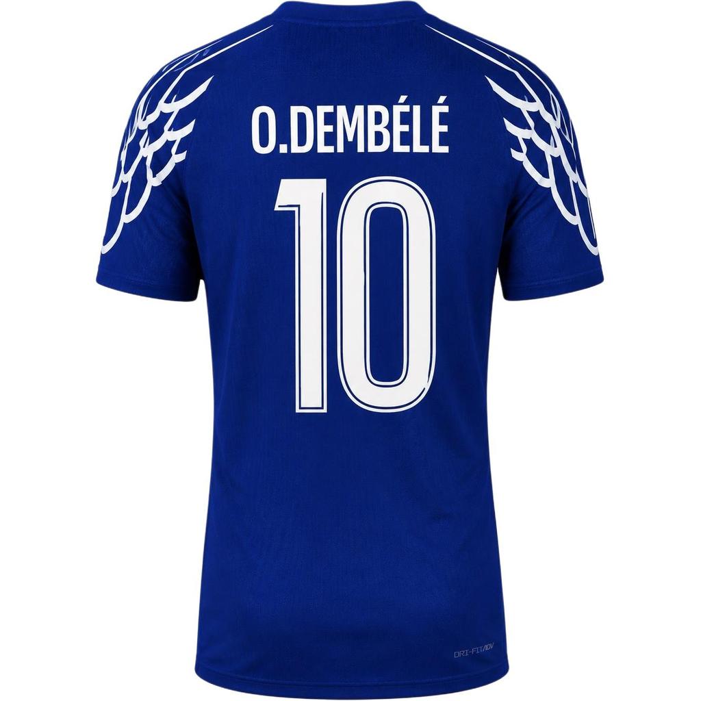 Jordan Paris Saint Germain Voetbalshirt Fan Edition Heren Blauw HJ0865-493