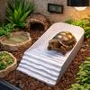 Ornaments Plastic Reptile Water Dish Square Ladder Climbing Turtle Bath Basin with Ramp Multi-functional Bathing Pool Amphibians