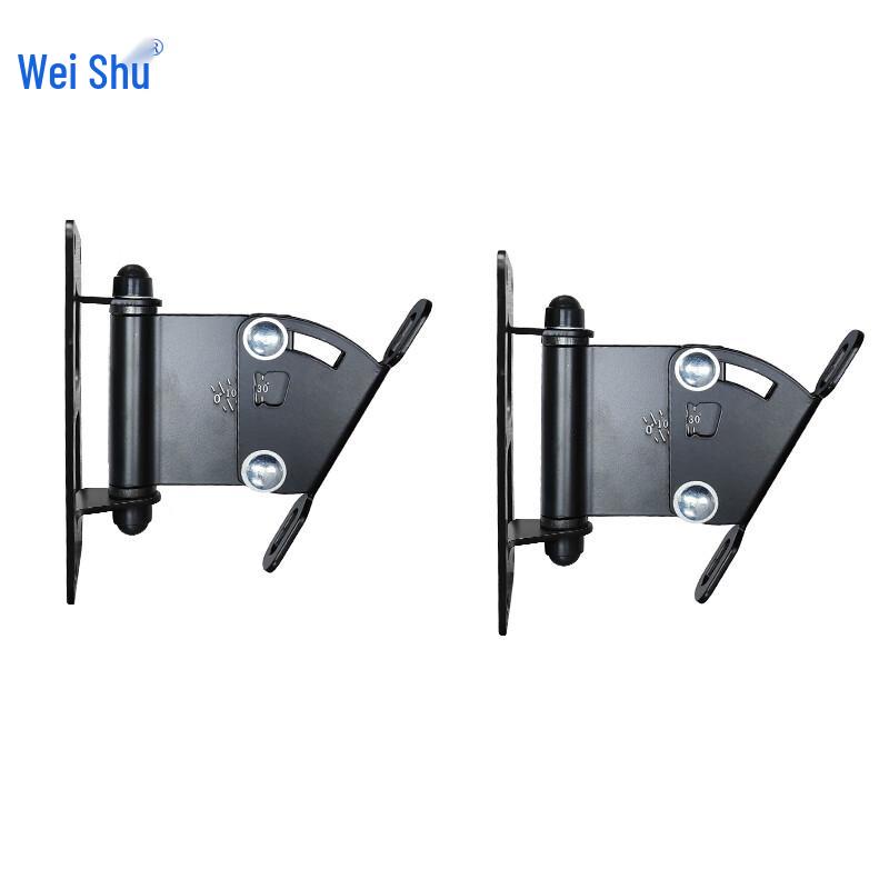 Weishu Professional Indoor Line Array Speakers & Brackets