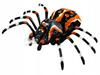 Spider Realistic Remote Controlled Toy Lights Walks Plays