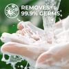 Sapone Liquido Lux con Rosa Francese e Olio di Mandorle Per Mani Pulite, Morbide e Profumate Ricarica, 675 ml