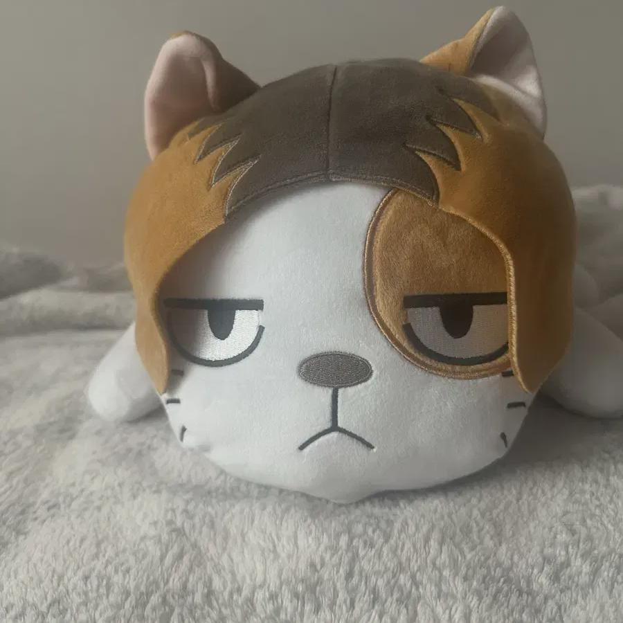 

Haikyu Toho Shop Jump Shop Kozume Kenma Daio Doll Cost Sale