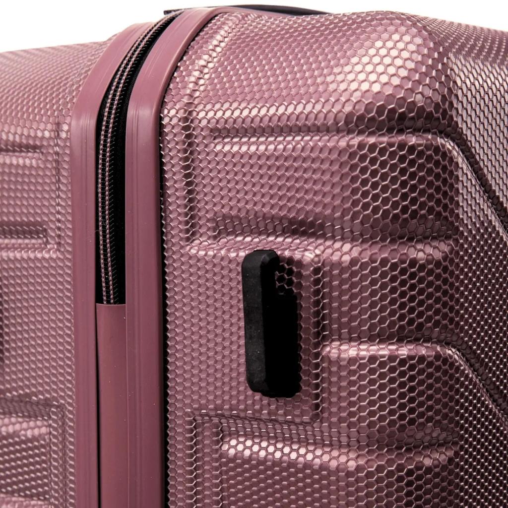 Set of 4 Wings Crake Suitcases // + Rose Gold Trunk