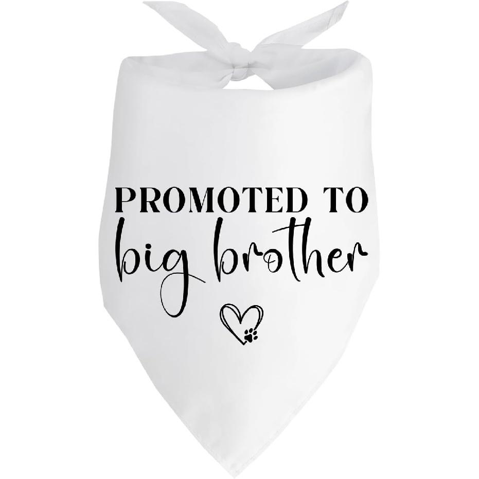 Promoted to Big Brother Dog Bandana Pregnancy Announcement Dog Baby Announcement Gender Reveal Photo Puppy Big Brother Bandana for Small Medium Cat