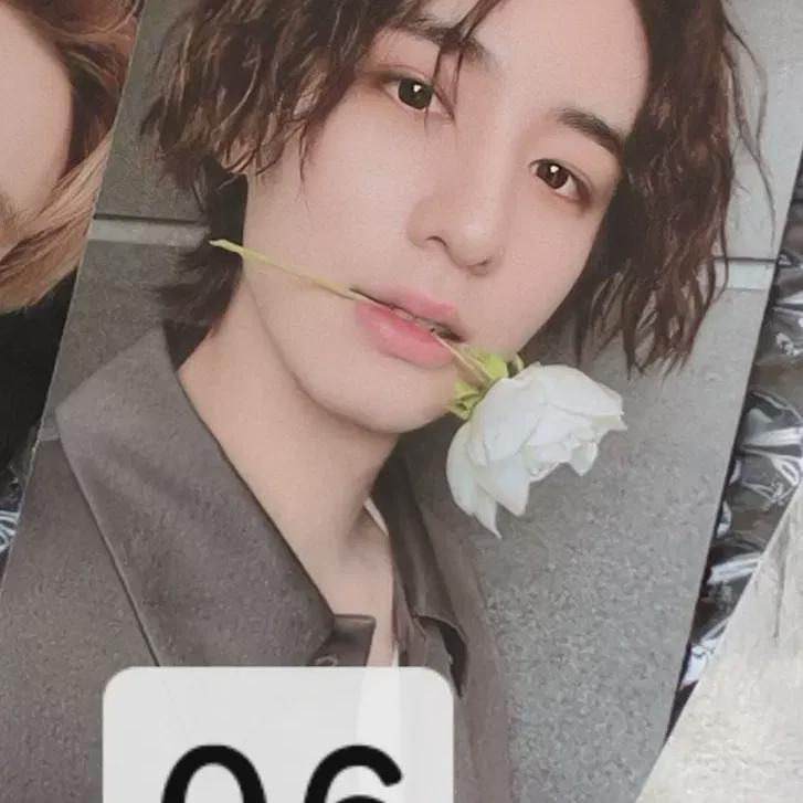 

Boynextdoor D-action Weverse Pre-order Benefit Leehan Poca