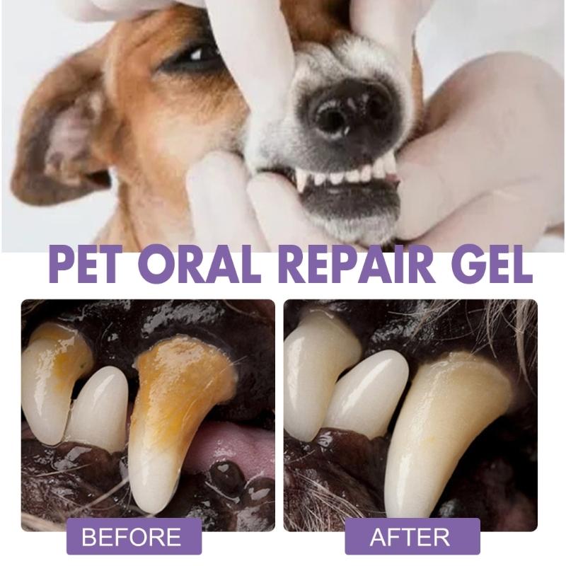 Profesionální gel Pet OralRepair pro hloubkové čištění zubů Psa Orální zdraví Opravný gel Jemné složení Zubní deodorizace