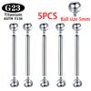 Implantatgrad Titan ASTM F136 Innengewinde Gerade Barbells Zungenring Ohrringe Piercing Schmuck Stange 2/5/50 Stück/Los