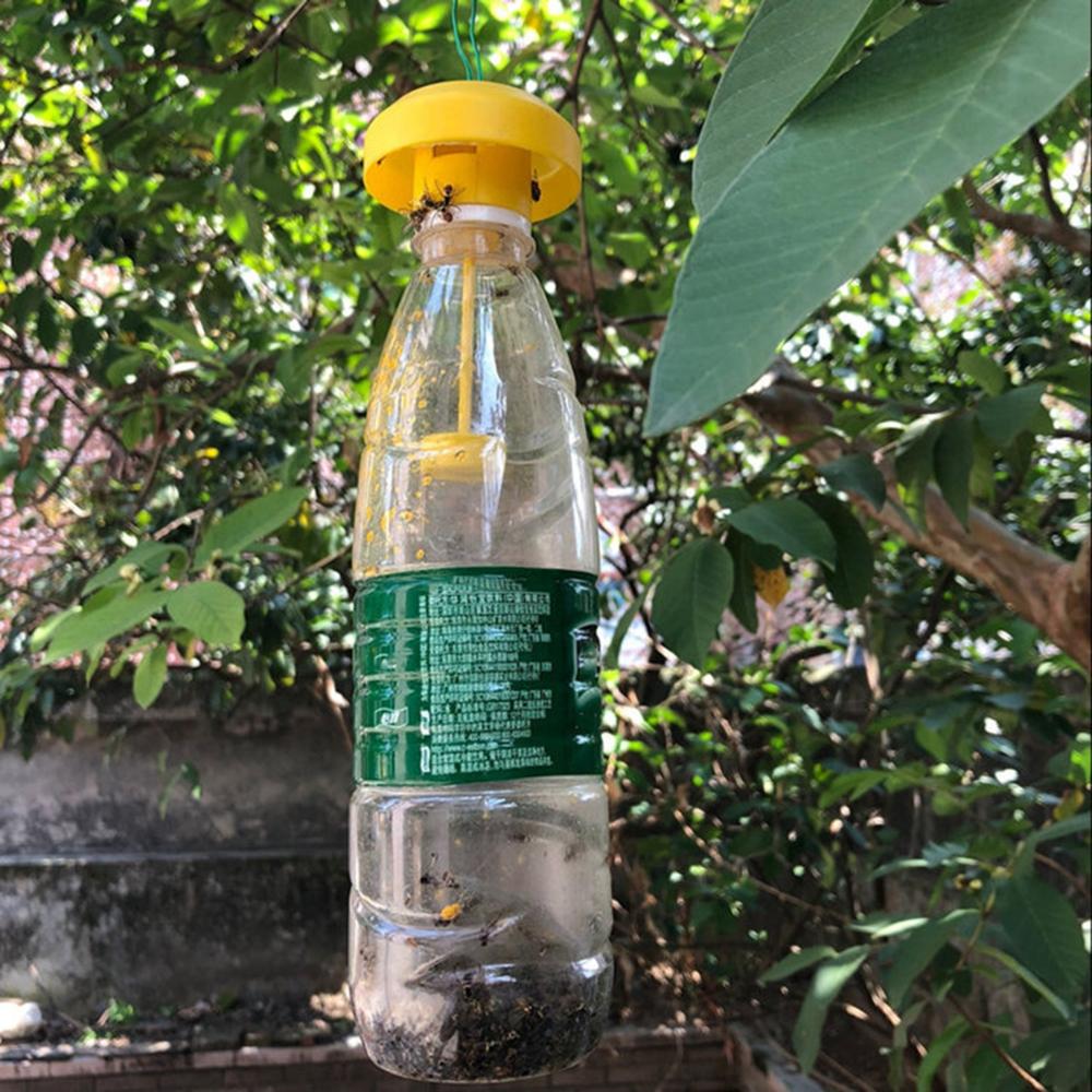 Fattoria Patio Esterno Afide Mosca Bianca Tappo di Bottiglia Controllo Parassiti Trappola per Moscerini della Frutta Insetticida Catturatore di Drosophila