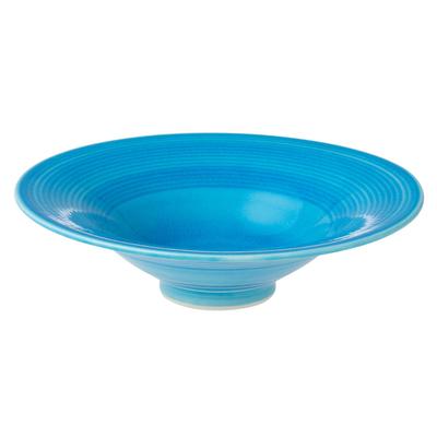 TOKI1919 MINOYAKI Turkish Glazed Traditional Japanese Shallow Salad 16 X 4 Cm Mino Japanese Suitable for Ryokan and Microwave and Dishwasher Crackle