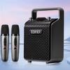 Edifier PP205S Dual-Mic Portable Bluetooth KTV Speaker CN Plug (adapter Included)