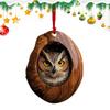 Acrylic Raccoon Tree Pendant Christmas Tree Animal Pattern 2D Acrylic Ornament Living Room Bedroom Garden Seasonal Decoration