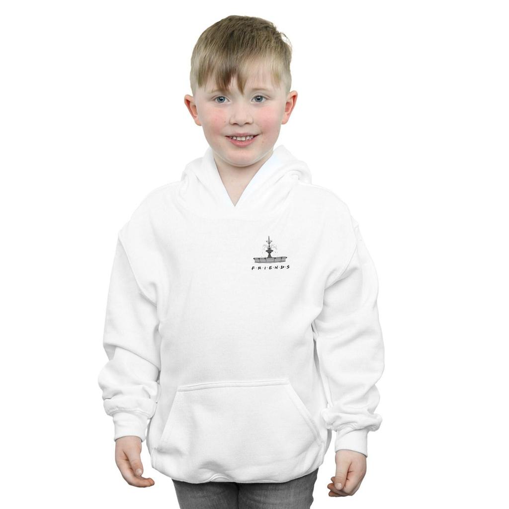 Friends Boys Fountain Breast Print Hoodie