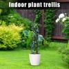 Trellis For Climbing Plants Indoor Metal Climbing Plant Support Houseplant Flower Cage Stake Rack Vine Climber Stand For Garden