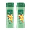 Hazeline Root & Scalp Care Anti-Dandruff Shampoo Twin Pack