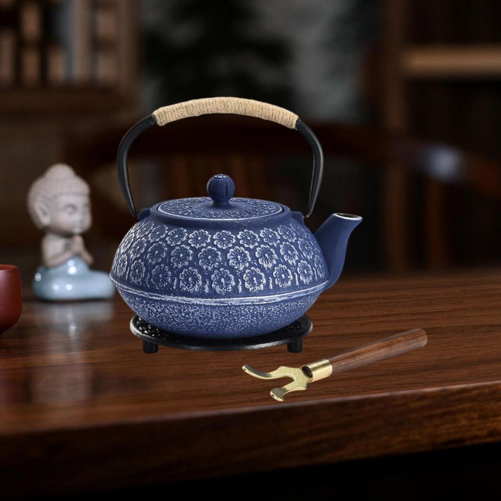 Japanese Cast Iron Teapot Internal Enamel for Loose Leaf Tea Bags Indoor