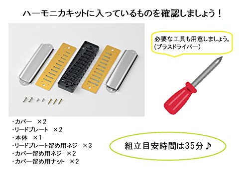 SUZUKI Handmade Instrument Series 10-Hole Harmonica Kit THK-1