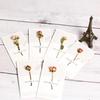 Artistic Rose Dried Flower Greeting Card - Fresh Style for Anniversaries and DIY Gifts