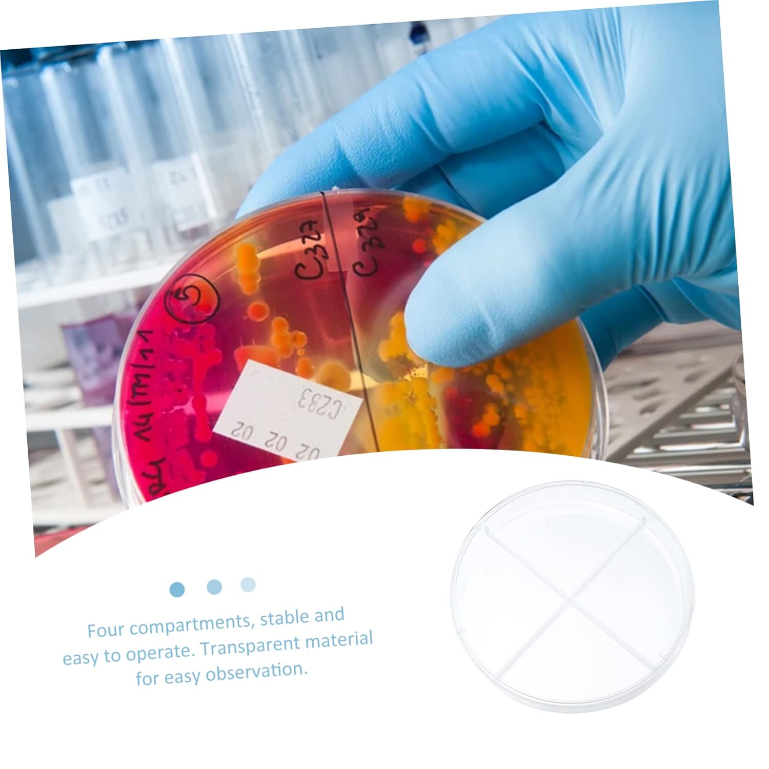10pcs Cell Culture Dish Petri Dish for Laboratory Cell Culture Petri Dish School Petri Dish Four Compartments Petri Dish Portable Petri Dish Plastic