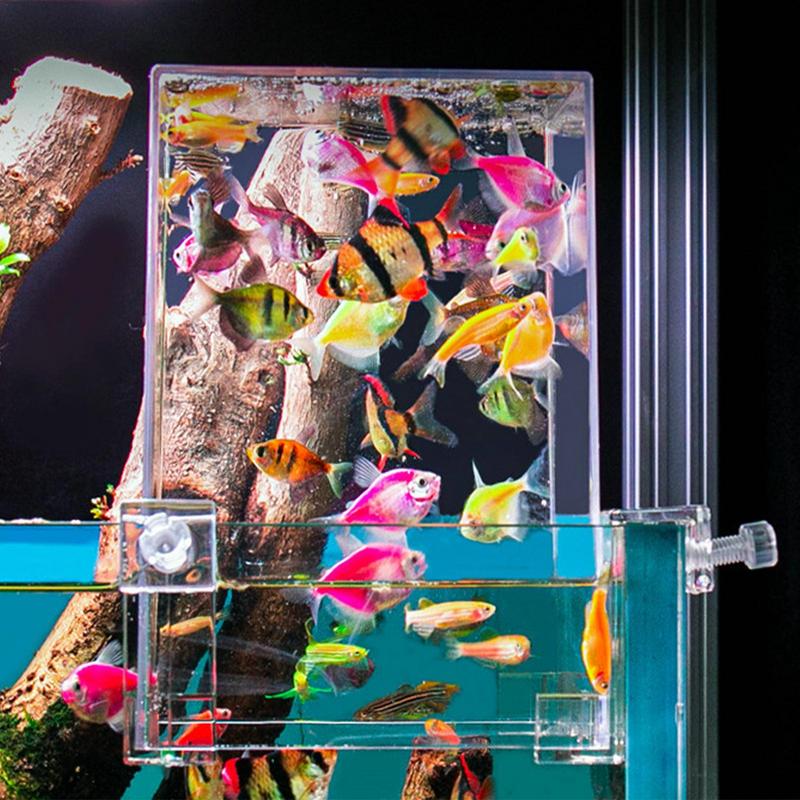 Creative Vacuum Inverted Aquarium Tank Negative Pressure Ecological Aquascape Decoration Fish Tank Acrylic Vacuum Aquarium
