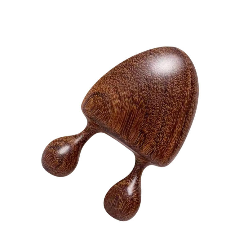Wooden Snail Shape Nose Massage Comb Sandalwood Round Tip Gua Sha Tool Face Eye Nasal Meridian Relaxation Acupuncture Therapy Massager