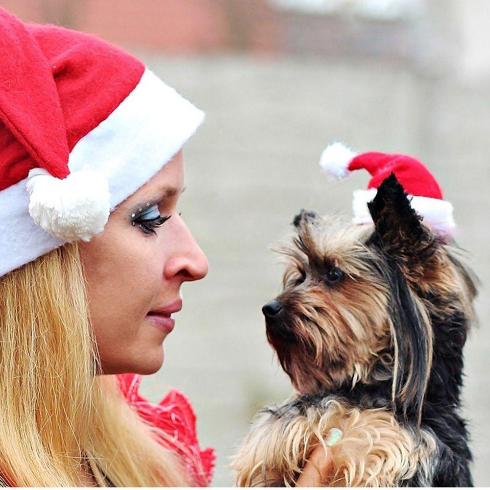 Costum Drăguț Roșu de Sărbătoare Pălărie Reglabilă pentru Pisici Câini Animale de Companie Crăciun Fericit Pălărie Animal Moș Crăciun