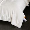Youmengjiaju Premium Soybean Fiber Duvet