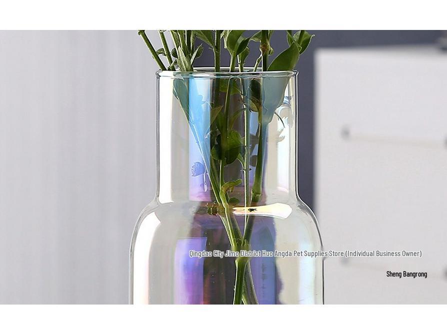 Transparent Minimalist Glass Vase for Office Decoration with Fresh or Dried Flowers