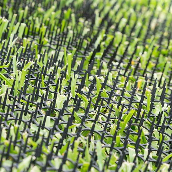 10 bucăți 13 cm x 49 cm Fâșie pentru înțepături de grădină Dig Stop Repelent pentru pisici Covoraș de descurajare Spike