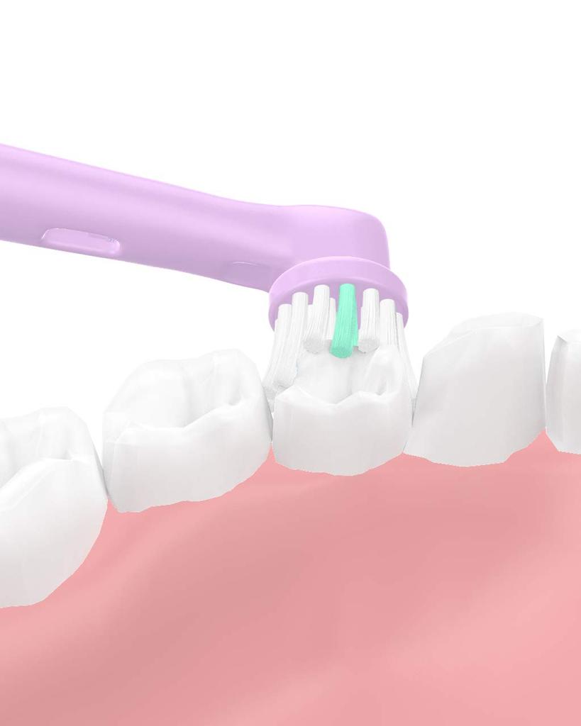 VINFANY Brown Compatible Electric Toothbrush Replacement Brush Sumizumi Clean Kids Color Toothbrush Children's (8 Pieces)