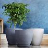 Drainage System Garden Pot Grey Flowerpot with Saucer, Modern Planter Lightweight Flower for Patio Holes, Plant Indoor Outdoor Use Weatherproof