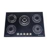 Five-Burner Tempered Glass Built-in LPG Gas Stove
