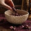 Resin Decorative Skull Bowl with Detailed Skeleton Design for Candy Storage and Display Not Suitable for Direct Food Contact